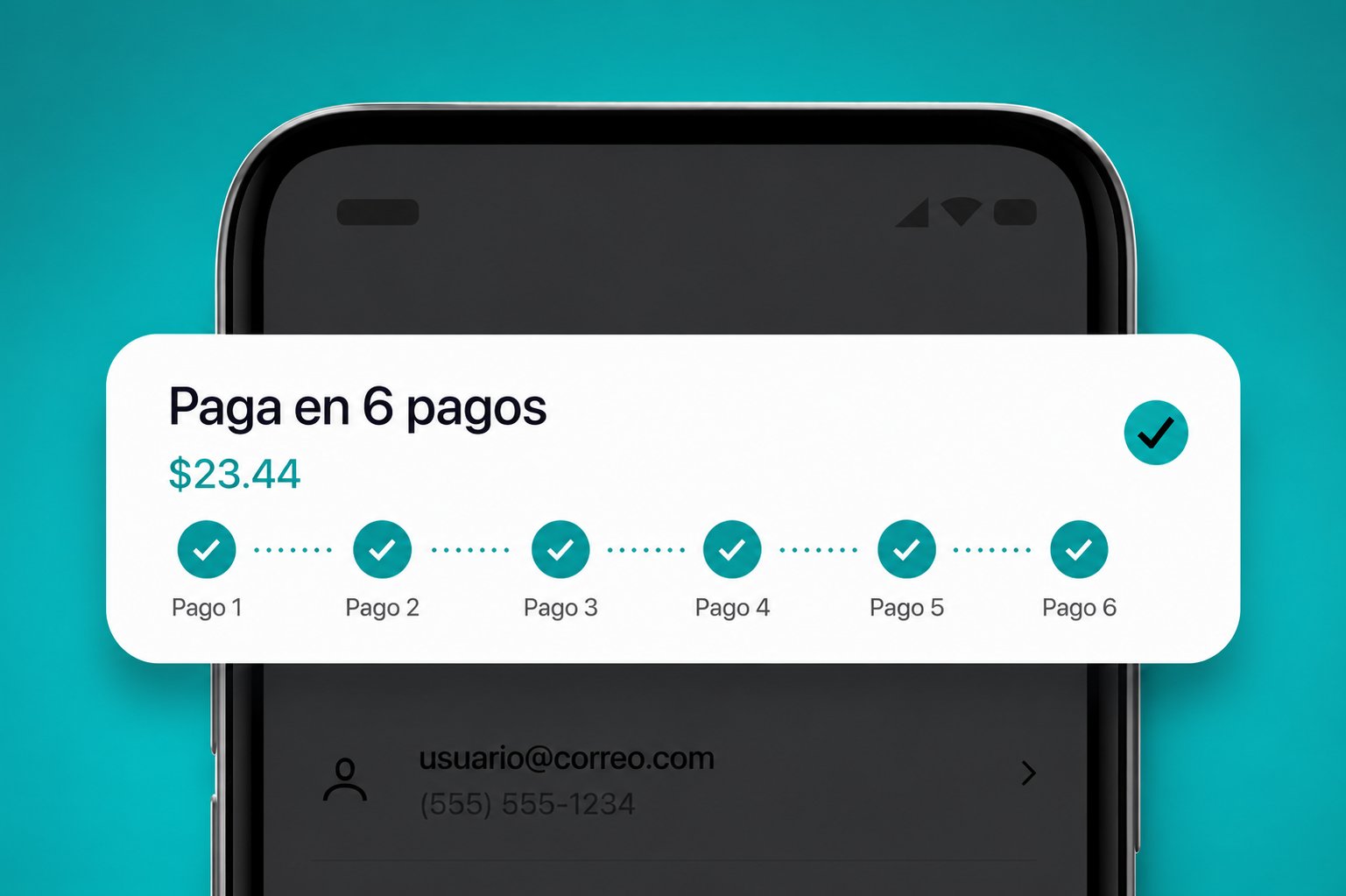 Pago de 6 cuotas